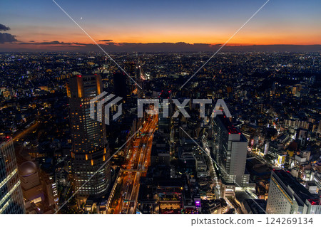 High-angle twilight view of Tokyo with illuminated streets, modern skyscrapers 124269134