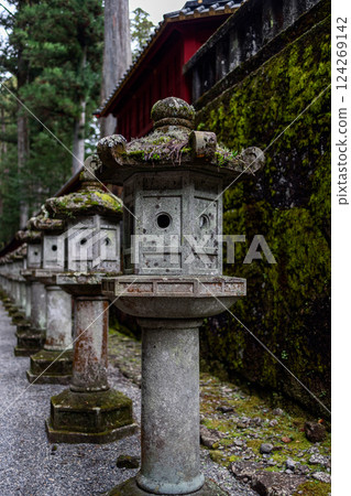 Row of ancient stone lanterns covered in moss lines a temple path at Toshogu Shrine in Nikko 124269142