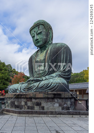 Side view of the Great Buddha statue at Kotoku-in temple in Kamakura 124269145