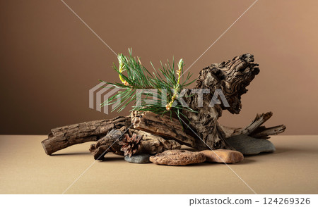 Abstract nature scene with a composition of pine branches, stones, and dry snags. 124269326