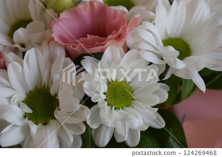 Elegant Mix of Chrysanthemums and Daisies Elegant Mix of Chrysanthemums and Daisies 124269468
