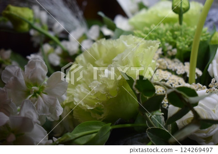 A Symphony of White and Green: A Delicate Flower Arrangement A Symphony of White and Green: A Delicate Flower Arrangement 124269497
