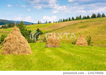 rural landscape in summer. agriculture in carpathian mountains. countryside scenery with haystack on the field beneath a blue sky with clouds. carpathian village in the distance rural landscape in summer. agriculture in carpathian mountains. countryside scenery with haystack on the field beneath a blue sky with clouds. carpathian village in the distance 124270008