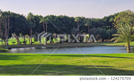 Big green golf park in Cairo, Egypt. Palms on the background  124270709