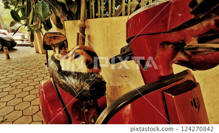 Local streets in Cairo, Egypt. Local market. Streets full of people 124270842