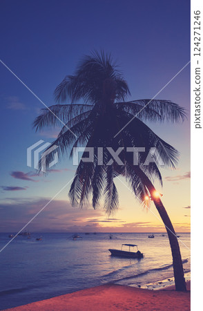 Tropical beach with coconut palm at sunset, color toning applied, Philippines. 124271246