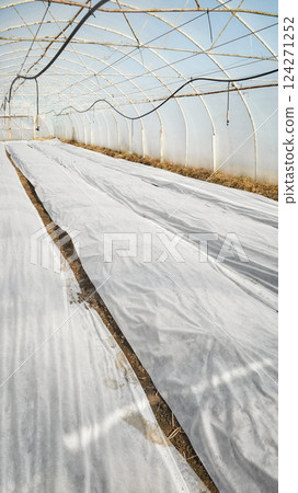 Organic vegetable polytunnel farm with nonwoven agrotextile covering seedlings. Organic vegetable polytunnel farm with nonwoven agrotextile covering seedlings. 124271252
