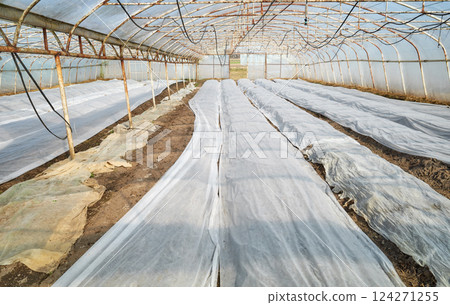 Organic vegetable polytunnel farm with nonwoven agrotextile covering vegetable. Organic vegetable polytunnel farm with nonwoven agrotextile covering vegetable. 124271255