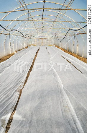 Organic vegetable polytunnel farm with nonwoven agrotextile covering seedlings. Organic vegetable polytunnel farm with nonwoven agrotextile covering seedlings. 124271262