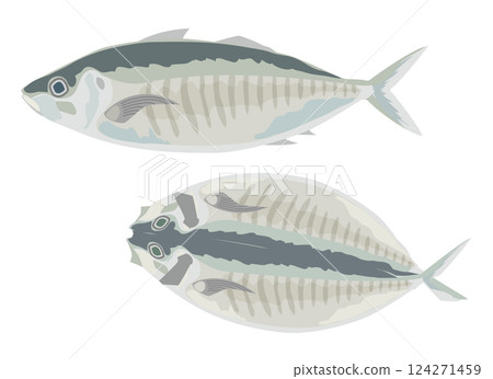 竹莢魚竹莢魚片 124271459