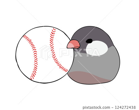 Java sparrow and baseball Java sparrow and baseball 124272438