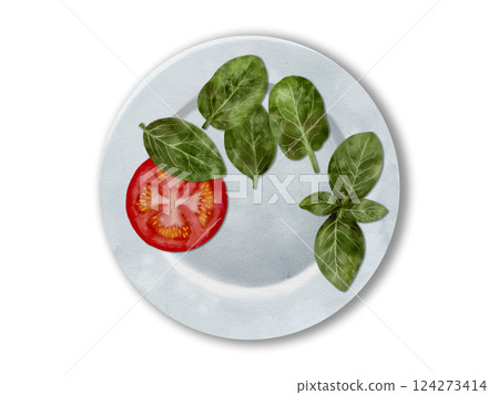 Fresh Tomato and Spinach Leaves beautifully arranged on a plate Minimalist food photography 124273414