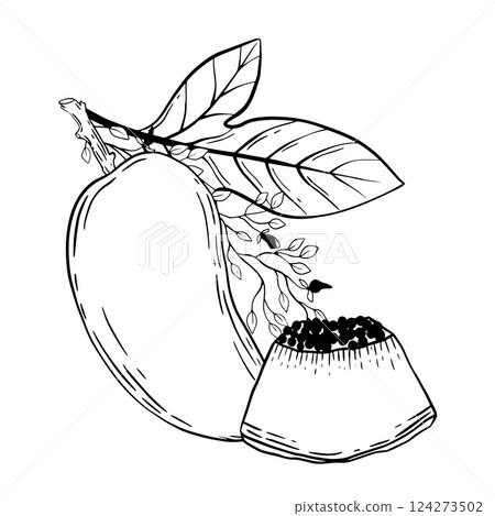 A vibrant illustration of a delightful mango with colorful leaves and luscious fruit 124273502