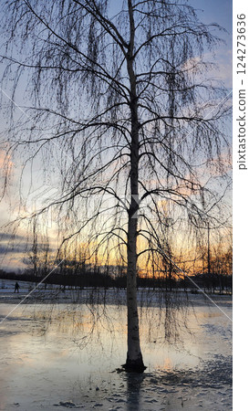 Fantastic winter landscape at dawn. Beautiful natural landscape of ice park with shining sunlight with reflections on ice. Saint Petersburg, Russia. Vertical photo. High quality photo Fantastic winter landscape at dawn. Beautiful natural landscape of ice park with shining sunlight with reflections on ice. Saint Petersburg, Russia. Vertical photo. High quality photo 124273636