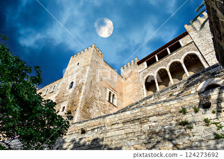 Royal Palace of La Almudaina, Palma de Mallorca Spain 124273692
