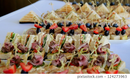 Gourmet mini sandwiches, savory bites, and colorful fruit skewers neatly plated, displaying elegant catering selection for professional event 124273963