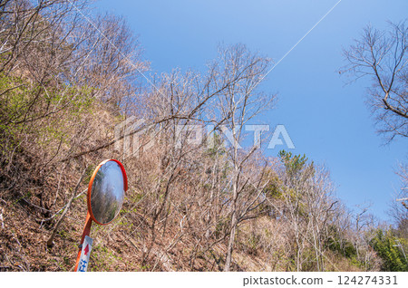 大阪府交野市冬季枯死的森林 大阪府交野市冬季枯死的森林 124274331