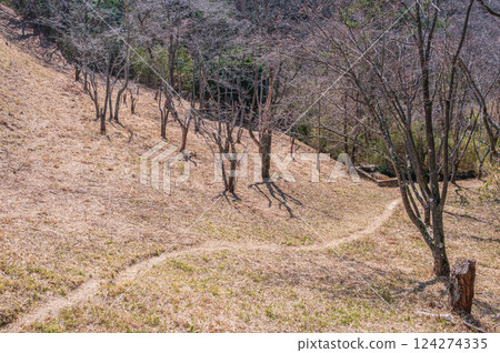 Katano Living Creature Village Hiking Course, Katano City, Osaka Prefecture 124274335