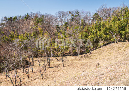 大阪府交野市交野生物村健行路線 124274336