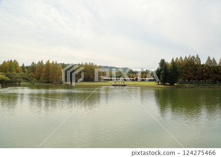 秋季的蜻蜓池公園 秋季的蜻蜓池公園 124275466