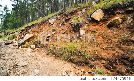 Tree roots and rocks exposed by soil erosion, revealing landscape damage along forest pathway, demonstrating environmental vulnerability 124275946