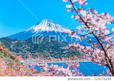 靜岡 - 薩埼峠櫻花和富士山 靜岡 - 薩埼峠櫻花和富士山 124276294