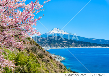 靜岡 - 薩埼峠櫻花和富士山 靜岡 - 薩埼峠櫻花和富士山 124276299