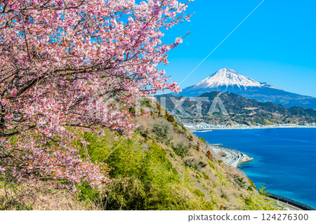 Shizuoka - Satta Pass cherry blossoms and Mt. Fuji Shizuoka - Satta Pass cherry blossoms and Mt. Fuji 124276300