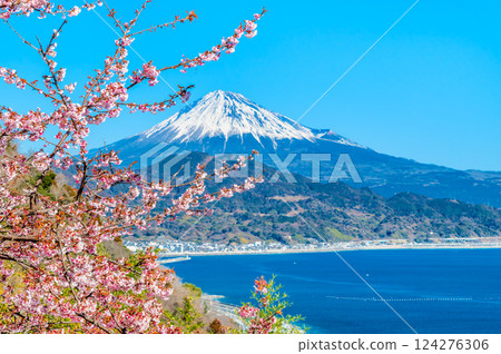 Shizuoka - Satta Pass cherry blossoms and Mt. Fuji 124276306
