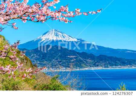 靜岡 - 薩埼峠櫻花和富士山 靜岡 - 薩埼峠櫻花和富士山 124276307
