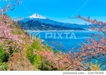 靜岡 - 薩埼峠櫻花和富士山 124276309