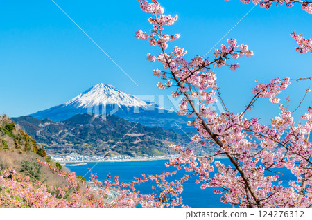 靜岡 - 薩埼峠櫻花和富士山 124276312