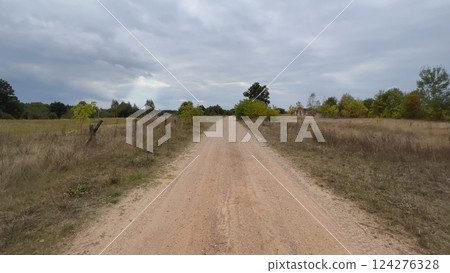 Long dirt road crossing countryside landscape with cloudy sky 124276328