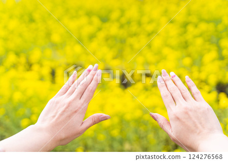 Open arms in a rapeseed field① 124276568
