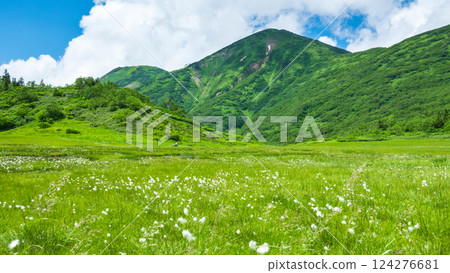 Hiuchiyama and Myokoyama mountain climbing in summer (Tengu Garden and Hiuchiyama) 124276681