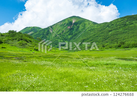 Hiuchiyama and Myokoyama mountain climbing in summer (Tengu Garden and Hiuchiyama) 124276688