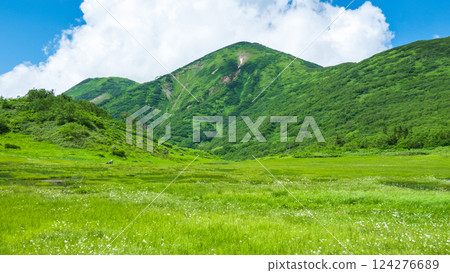 Hiuchiyama and Myokoyama mountain climbing in summer (Tengu Garden and Hiuchiyama) 124276689