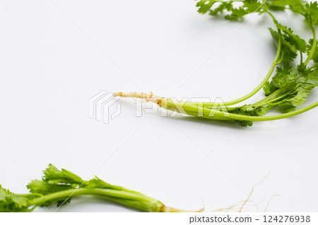 Fresh organic coriander, vegetables and herbs 124276938
