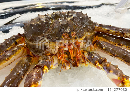 A red king crab on ice. 124277080