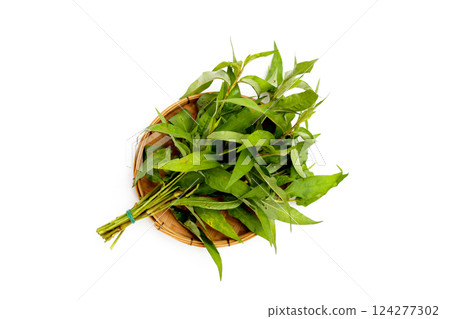 Vietnamese coriander leaves on white background. Vietnamese coriander leaves on white background. 124277302