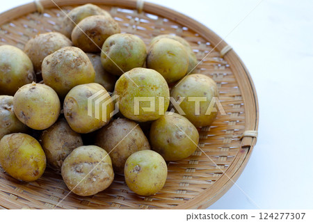 Raw fresh organic potatoes, Tiny potatoes 124277307