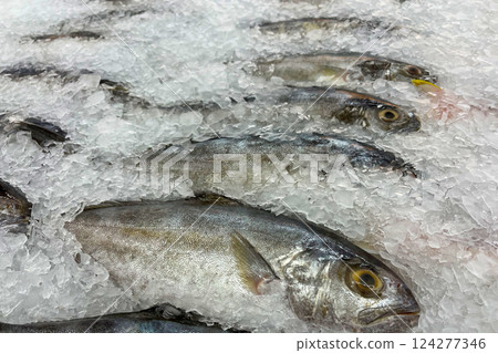 Fresh fish for sale on a bed of ice at a seafood market 124277346