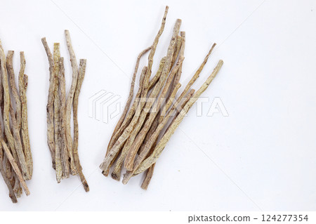 Dang Shen or Codonopsis pilosula, Chinese herbal medicine Dang Shen or Codonopsis pilosula, Chinese herbal medicine 124277354