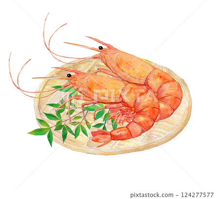 水彩插圖：珍貴的海鮮：甜蝦 124277577