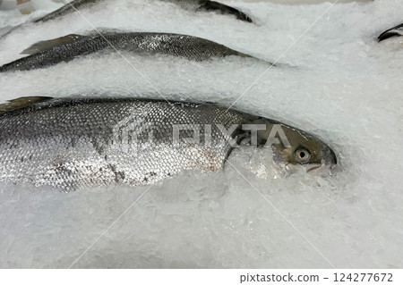 Fresh fish for sale on a bed of ice at a seafood market Fresh fish for sale on a bed of ice at a seafood market 124277672