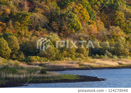 Autumnal forest and calm lake, Lake Akimoto Autumnal forest and calm lake, Lake Akimoto 124278048