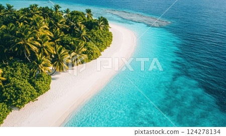 A beautiful beach with palm trees and a blue ocean 124278134