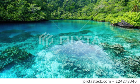 A beautiful blue ocean with a green forest in the background 124278346