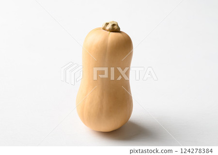 Fresh butternut squash pumpkin on white background 124278384