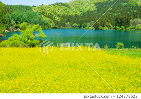 Spring Huronong Lake 124278622